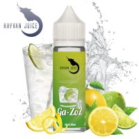 Hayvan Juice - Ga-ZoZ 10ml Longfill ST